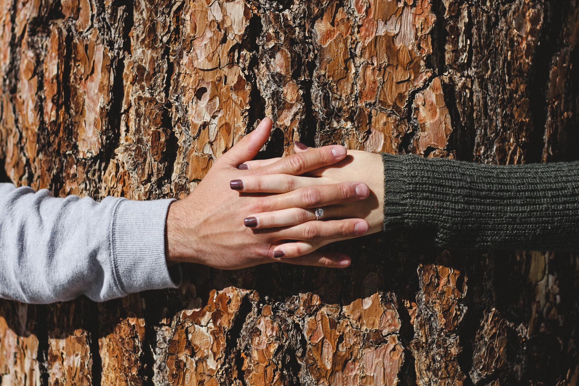 people holding hands around a tree