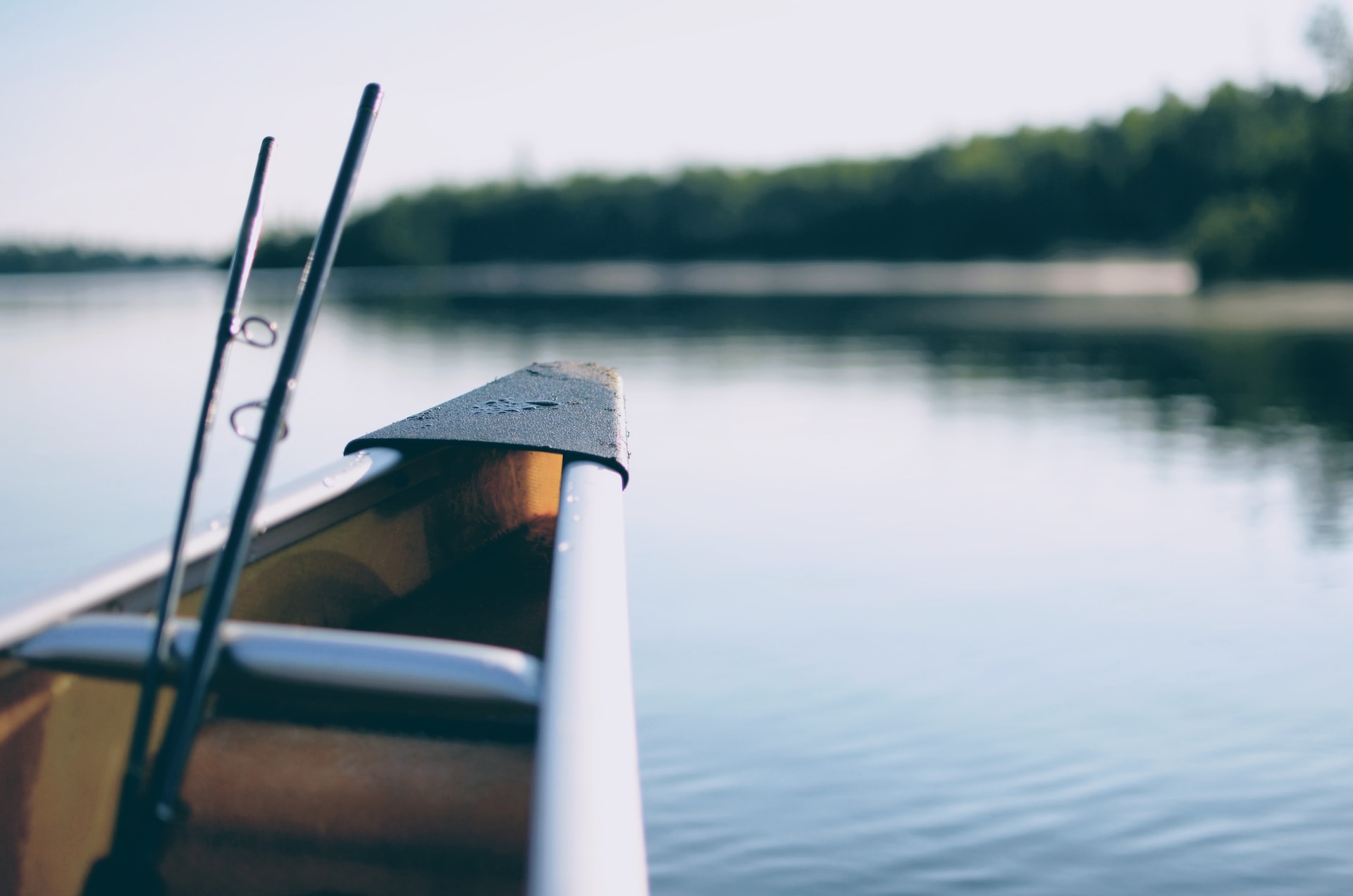 Explore these great options for Whitefish boating