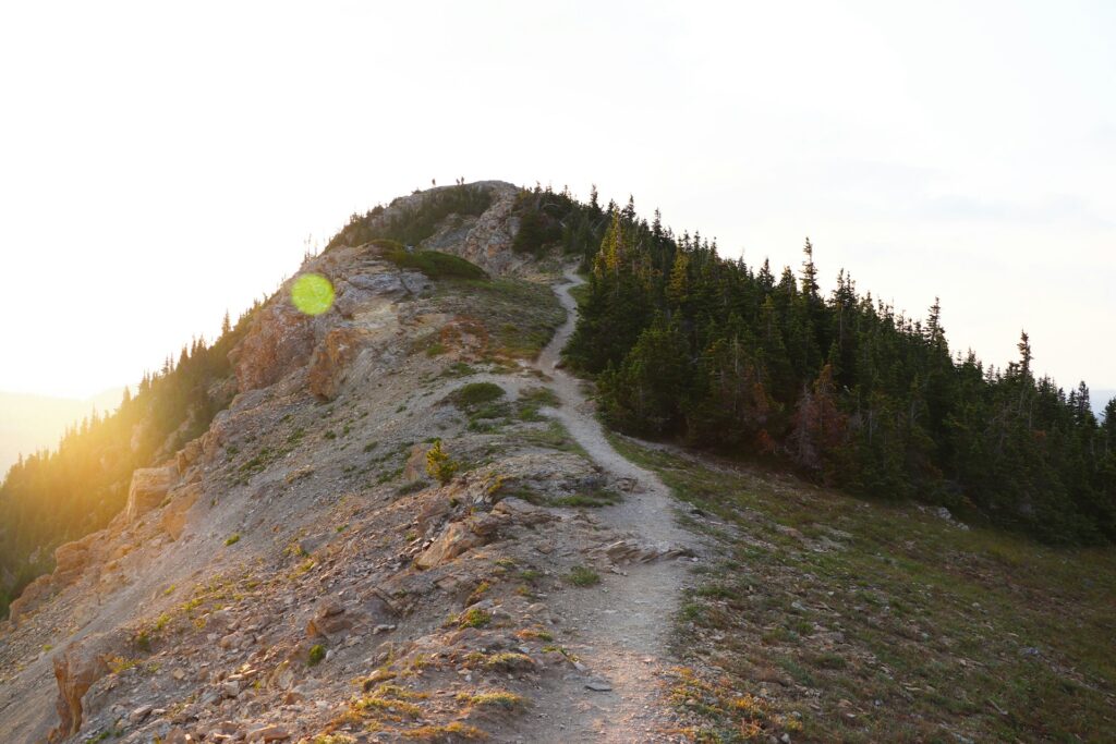 Discover Flathead National Forest in Whitefish